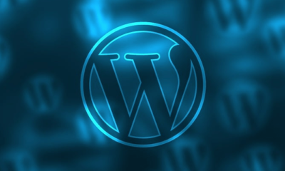What Is WordPress? Beginner’s Guide