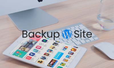 How to backup a WordPress site (manually + plugin)