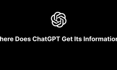 Where Does ChatGPT Get Its Information?