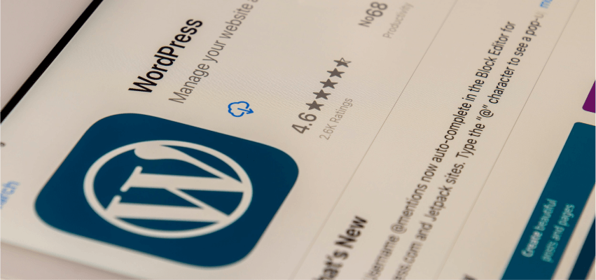 how to make money with wordpress in 48 hours