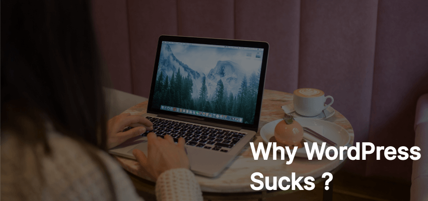 why wordpress website sucks